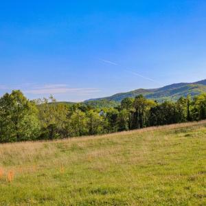 Photo #5 of PORTION OF TAX ID 38-71, SPERRYVILLE, VA 17.6 acres