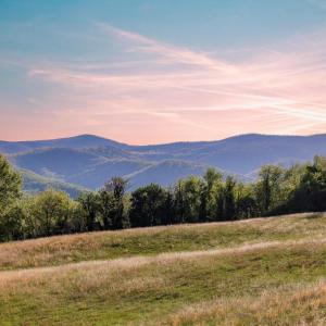 Photo #2 of PORTION OF TAX ID 38-71, SPERRYVILLE, VA 17.6 acres