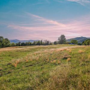 Photo #7 of PORTION OF TAX ID 38-71, SPERRYVILLE, VA 17.6 acres