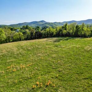 Photo #23 of PORTION OF TAX ID 38-71, SPERRYVILLE, VA 17.6 acres