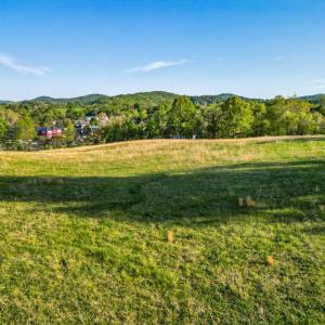 Photo #24 of PORTION OF TAX ID 38-71, SPERRYVILLE, VA 17.6 acres