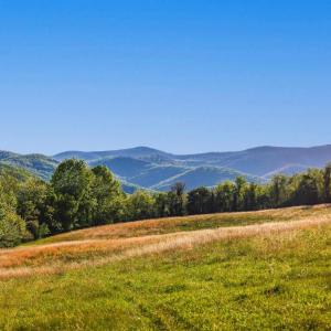 Photo #4 of PORTION OF TAX ID 38-71, SPERRYVILLE, VA 17.6 acres