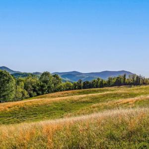 Photo #3 of PORTION OF TAX ID 38-71, SPERRYVILLE, VA 17.6 acres