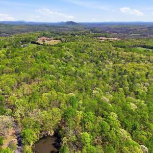 Photo #2 of OBANNONS MILL RD, BOSTON, VA 10.1 acres