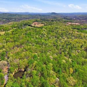 Photo #3 of OBANNONS MILL RD, BOSTON, VA 10.1 acres