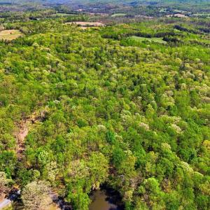 Photo #14 of OBANNONS MILL RD, BOSTON, VA 10.1 acres
