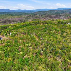Photo #4 of OBANNONS MILL RD, BOSTON, VA 10.0 acres