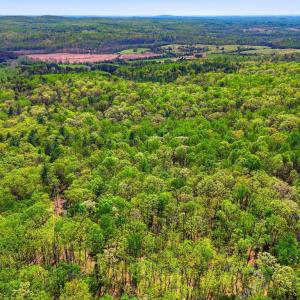 Photo #6 of OBANNONS MILL RD, BOSTON, VA 10.0 acres