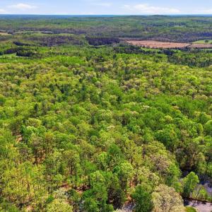 Photo #8 of OBANNONS MILL RD, BOSTON, VA 10.0 acres