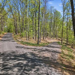 Photo #11 of OBANNONS MILL RD, BOSTON, VA 10.0 acres