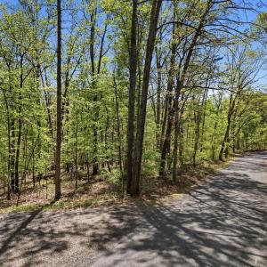 Photo #13 of OBANNONS MILL RD, BOSTON, VA 10.0 acres