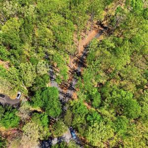 Photo #10 of OBANNONS MILL RD, BOSTON, VA 5.1 acres