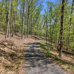Photo #12 of OBANNONS MILL RD, BOSTON, VA 5.1 acres