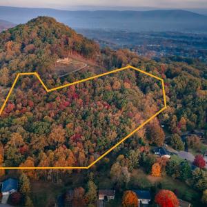 Heald boundary pic