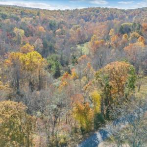 06-DJI_20241031121533_0200_D