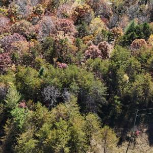 DJI_20241102133324_0072_D