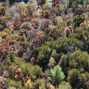 DJI_20241102133351_0073_D