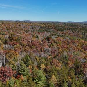 DJI_20241102133506_0076_D