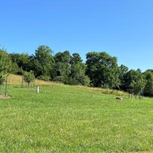 Open Fields above Garage