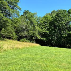 Food Plot w/Deer Stand