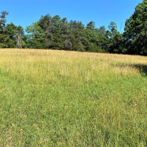 Hay Field