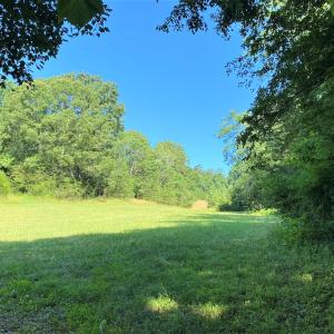 Hay Field