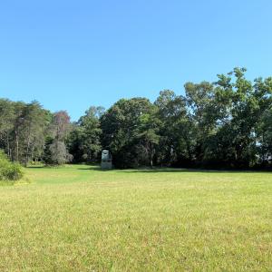 Hay Field