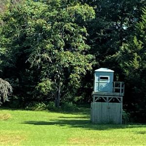 Deer Stand & Food Plot