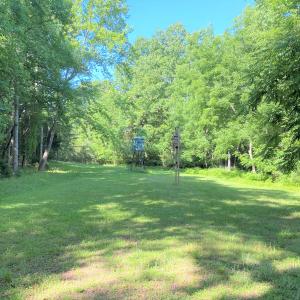 Food Plot