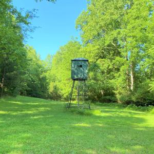 Deer Stand & Food Plot