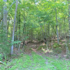 Trails