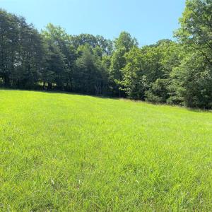 Food Plot