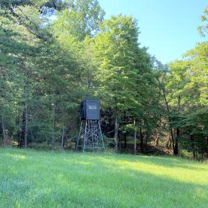 Deer Stand