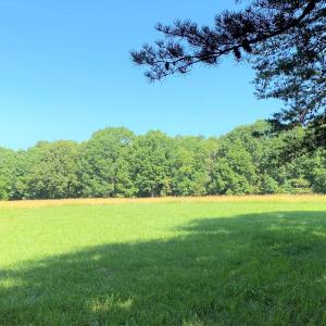 Food Plot