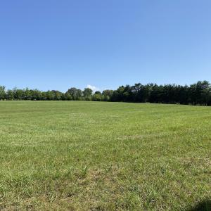 Front Hay Field