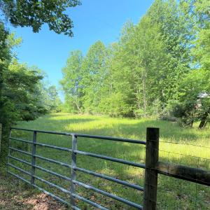 Smith Mountain Lake Access