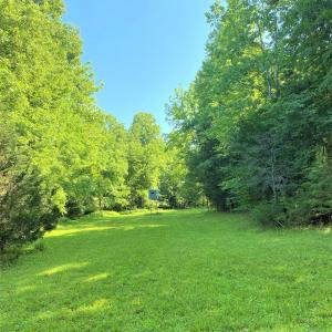 Food Plot