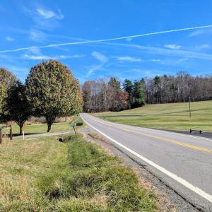 PXL_20241113_172456065~2