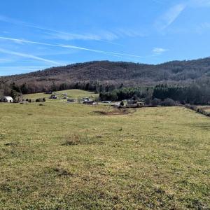 PXL_20241113_173526566~2