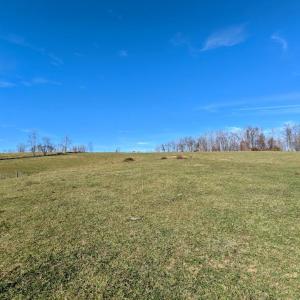 PXL_20241113_174023184~2