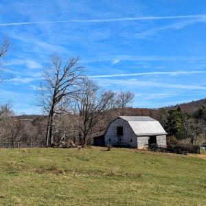 PXL_20241113_174151111~2