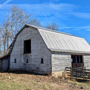 PXL_20241113_174646065.PORTRAIT.ORIGINAL