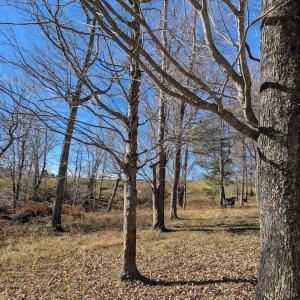 PXL_20241113_173035350