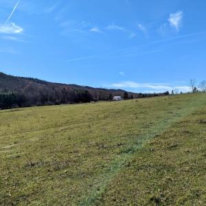 PXL_20241113_173211117~2