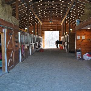 Horse Barn Edge 001 (2)
