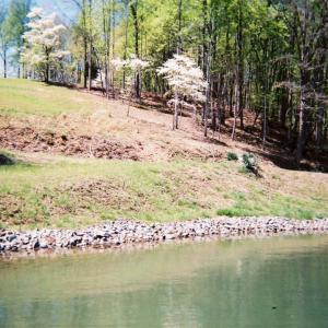 Lot View from Water