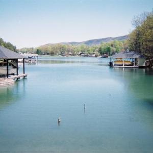 Lake Views