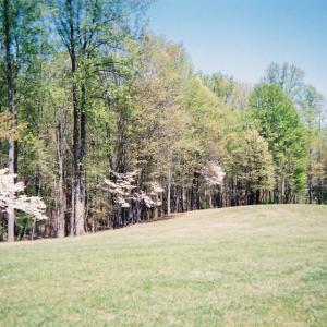 View of lot and privacy