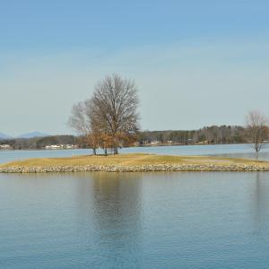 Island Green.JPG