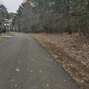 Lot 143 Oak Crest2